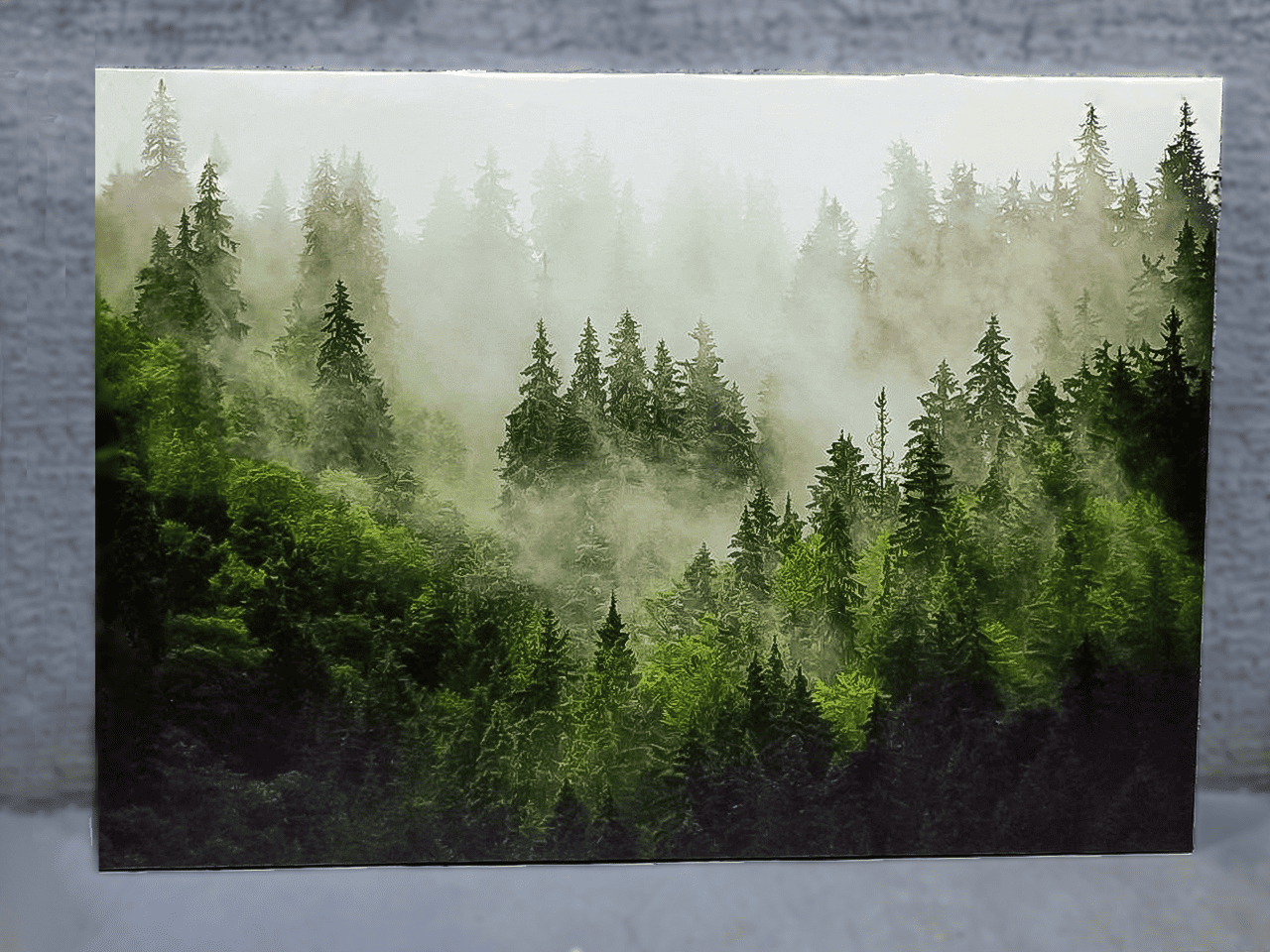 Наша робота №6